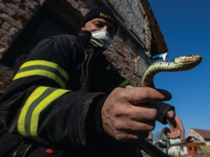 Hasiči v kraji bilancují loňský rok. Zachránili život více než dvěma tisícům lidí