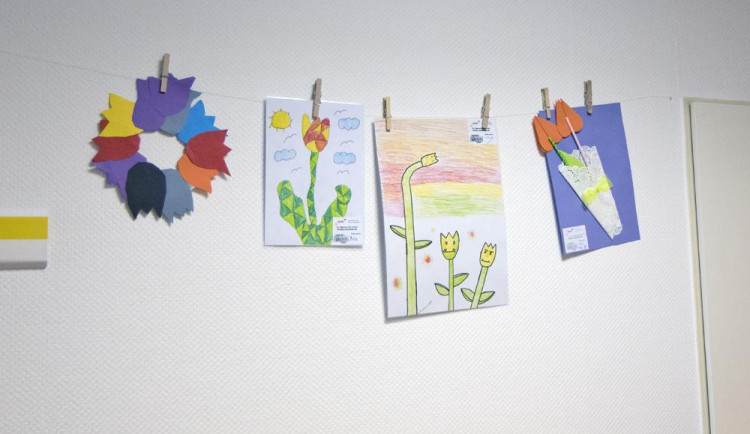 Hradeckou nemocnici zaplavilo několik stovek obrázků tulipánů. Školáci tak podporují onkologicky nemocné