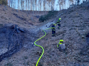 Jarní pálení listí a trávy opět zaměstnává hasiče. Zahrádkáři za to dostávají pokuty