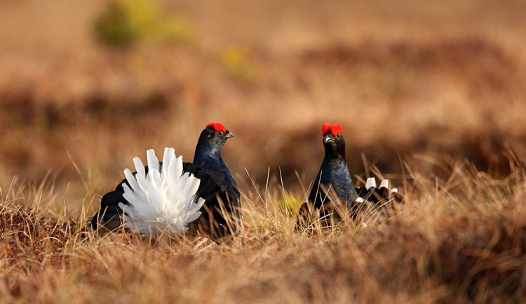 mg-9075_154836109417.468