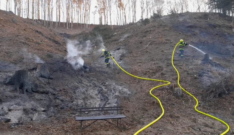 275612460_484797516442450_1438668431146011290_n