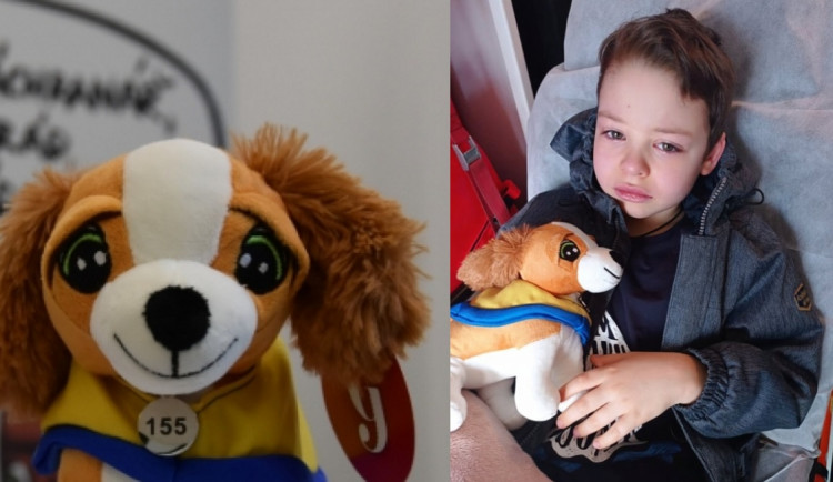 Plyšový záchranář Defík pomáhá malým pacientům z Ukrajiny