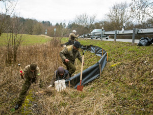 V Krkonoších začíná migrace žab. Správci se je snaží ochránit zábranami