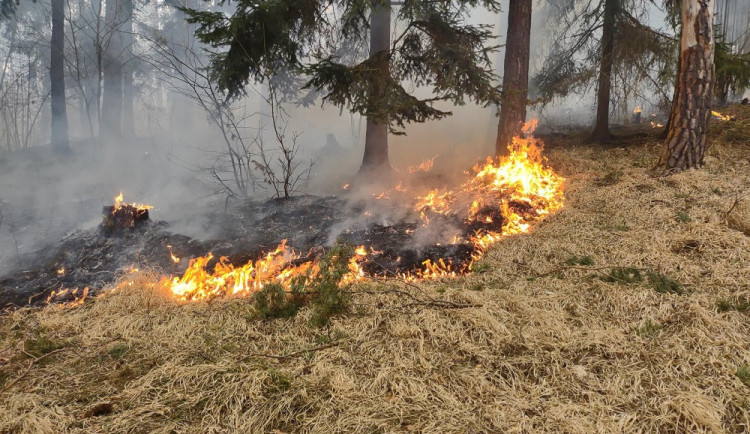 Hasiči druhý den bojují s požárem u Blanského lesa