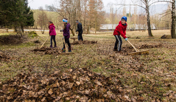 Správci Krkonoš probouzí horské louky. Pomáhají jim žáci místních škol