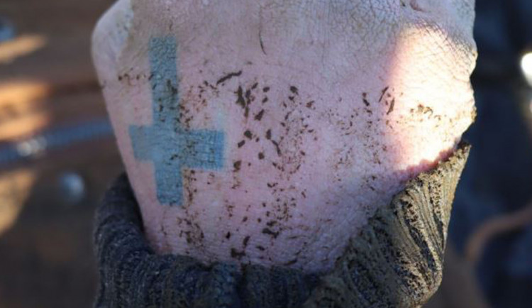 Policisté v Brně vylovili z řeky Svitavy mrtvého muže