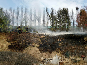 Hasiči řeší rekordní množství požárů ve volné přírodě. Je jich zhruba 13krát více