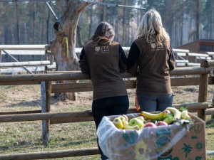 PENNY neplýtvá a posílá do ZOO zdravé ovoce a zeleninu