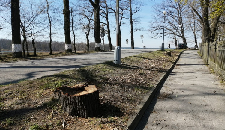 Mezi zámeckým parkem a rybníkem Svět vzniká stezka. Památkáři nesouhlasí s asfaltem
