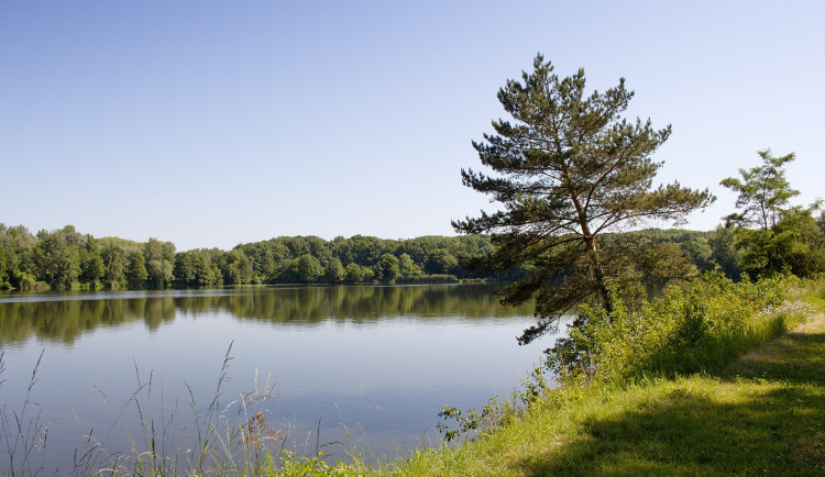 Povodí Labe začalo čistit od nánosů umělý kanál Alba z 15. století