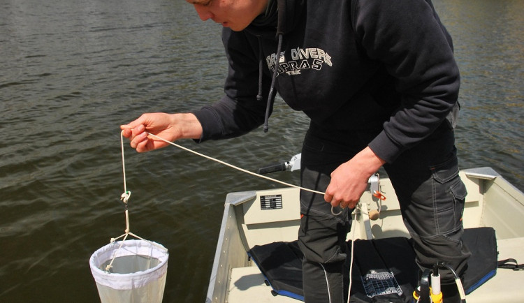 Začaly odběry vody z Jordánu v Táboře. Počet sinic je zatím nízký
