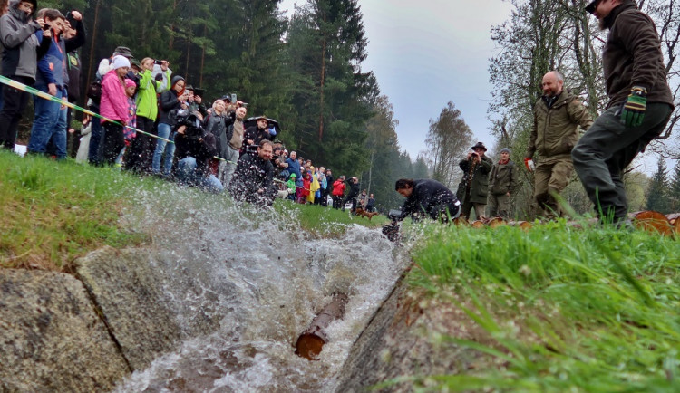 Želnavským smykem se po více než 60 letech plavilo dřevo. Rekonstrukce trvala tři roky