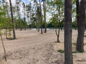 Stříbrňák vstupuje do nové sezony. Kemp se stal oficiálním místem pro konání svateb