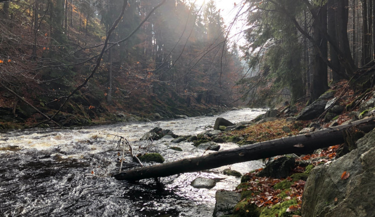 Správa KRNAP zjednodušuje rybí migraci v krkonošských tocích. Odstraňuje bariéry