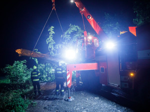 OBRAZEM: Přes noc měli hasiči plné ruce práce. V Dobrušce spad na auto strom