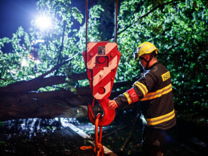 OBRAZEM: Přes noc měli hasiči plné ruce práce. V Dobrušce spad na auto strom