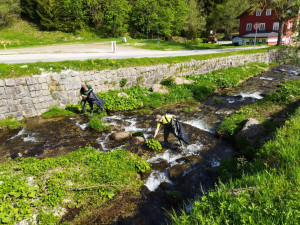 Krkonoše jsou opět o něco čistější. Správci parku nasbírali pět tun odpadků
