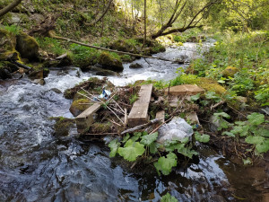 Krkonoše jsou opět o něco čistější. Správci parku nasbírali pět tun odpadků
