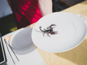 Prima FRESH festival nabídne Oscarové delikatesy a živé koncerty