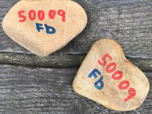 Hradcem putují kamínky na podporu Ukrajiny. Někoho potěší, někoho štvou