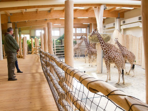 Královédvorský safari park získal tři významné ceny
