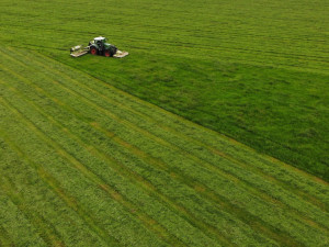 Každý rok zemře při sečích na loukách až 60 tisíc srnčat, zachraňují je dobrovolníci i dronaři s termokamerou