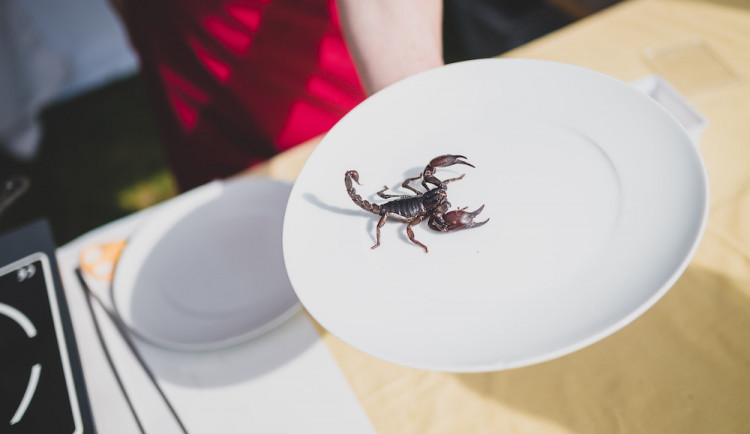 SOUTĚŽ: Vyhrajte vstupenky na Prima FRESH festival a degustační menu od samotného Zdeňka Pohlreicha.