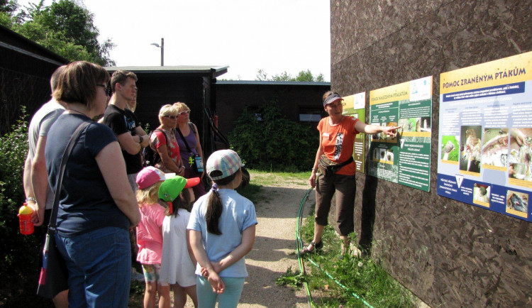 Záchranná stanice ARCHA v Liberci pořádá komentované prohlídky. Loni přijala téměř dva tisíce zvířat