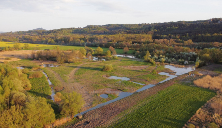 V Českém ráji obnovili ochránci přírody Sedmihorské mokřady na šesti hektarech půdy