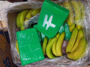 V obchodech v Jičíně a Rychnově byl v krabicích od banánů kokain