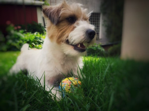 Tuhle práci si bere každý den domů, přesto o jinou nestojí