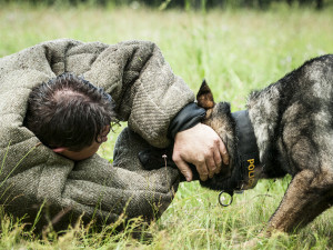 Tuhle práci si bere každý den domů, přesto o jinou nestojí