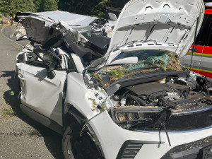 Po pádu stromu na auto v Krkonoších na cestě do Malé Úpy zemřeli tři lidé