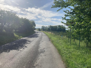 Zarostlé dopravní značky u silnic řidiče neomlouvají. V hradeckém kraji jich je celá řada