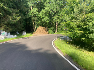 Zarostlé dopravní značky u silnic řidiče neomlouvají. V hradeckém kraji jich je celá řada