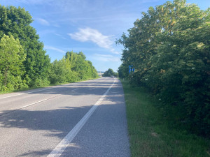 Zarostlé dopravní značky u silnic řidiče neomlouvají. V hradeckém kraji jich je celá řada