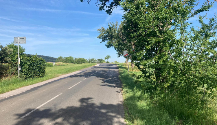 Zarostlé dopravní značky u silnic řidiče neomlouvají. V hradeckém kraji jich je celá řada