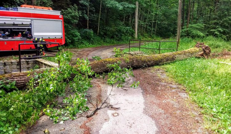 Další bouřka zaměstnala jihočeské hasiče. Odklízejí stromy, jeden spadl na auto