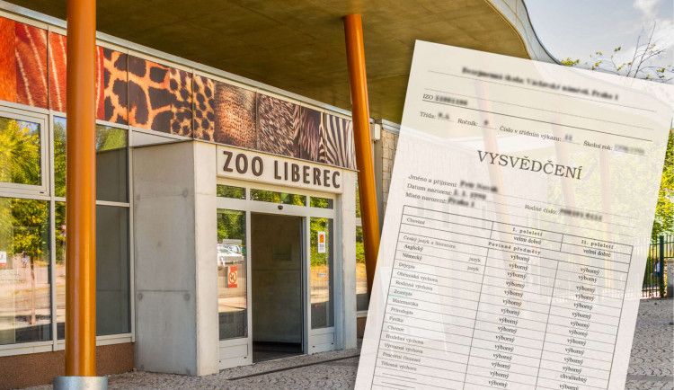 Oslava konce školního roku v zoo. Za vysvědčení dostanou žáci odměnu