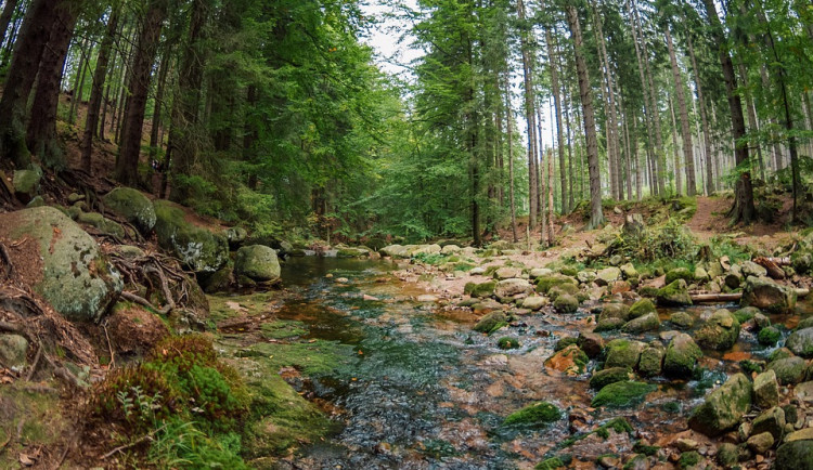 Se začínajícími prázdninami startuje turistická sezona v Krkonoších. Na turisty si posvítí strážci parku