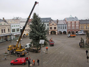 Dvůr Králové nad Labem hledá vánoční strom na náměstí T. G. Masaryka