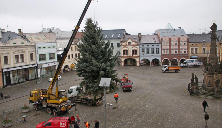 Dvůr Králové nad Labem hledá vánoční strom na náměstí T. G. Masaryka