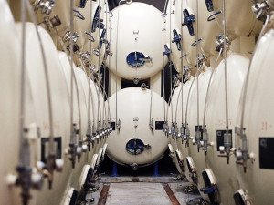 Budějovický Budvar je doma v jižních Čechách, ale slavný je po celém světě