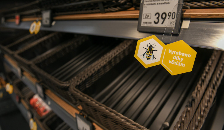 Penny: „Bez včel bychom přišli o šedesát procent potravin“