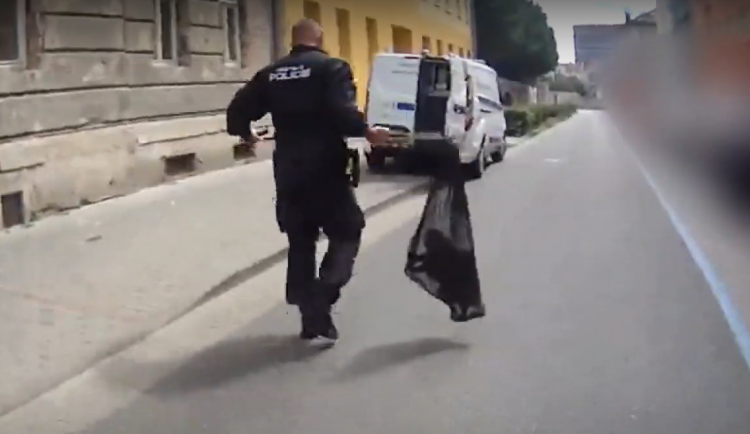 V centru Brna řádil desetikilový hlodavec. Vyděsil ženu a brzdil dopravu