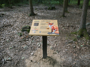 V Hradci Králové se otevřela nová naučná stezka pro děti. Začíná v kempu Stříbrný rybník