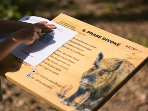 V Hradci Králové se otevřela nová naučná stezka pro děti. Začíná v kempu Stříbrný rybník