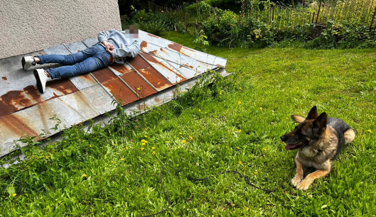 Vykradač chatek se chtěl schovat na střeše. Policejní fena Dora ho z ní sundala