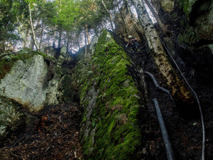 Ve skalách na Broumovsku hořelo. Příčinou byla pravděpodobně nedbalost