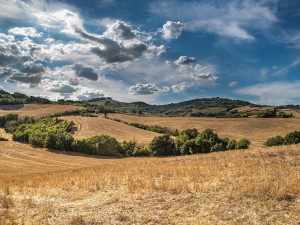 V následujícím týdnu si stále budeme užívat vysoké teploty. Tropickou hranici už nepřekonáme